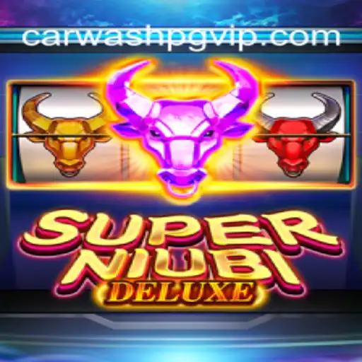 Exploring SuperNiubiDeluxe: A Premier Game on CARWASHPG.COM