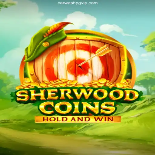 Exploring the Exciting World of SherwoodCoins: A Premier Game on CARWASHPG.COM