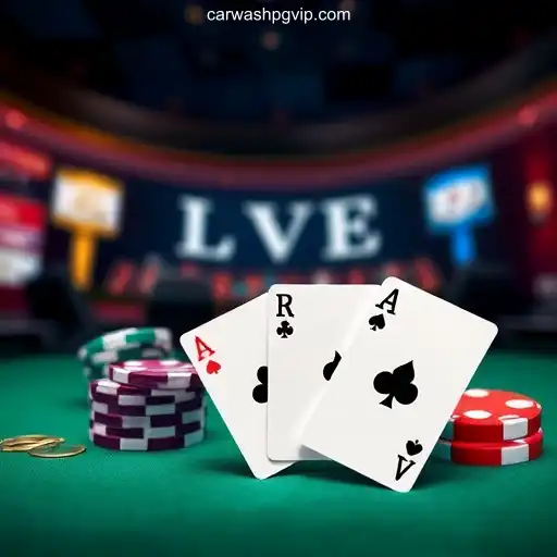 Exploring the Thrills of Live Cassino: An In-Depth Look at CARWASHPG.COM: Plataforma Premier de Cassino e Apostas