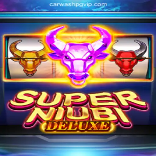 Exploring SuperNiubiDeluxe: A Premier Game on CARWASHPG.COM