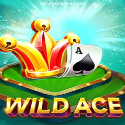 Exploring the Exciting World of WildAce: Game Description, Introduction, and Rules